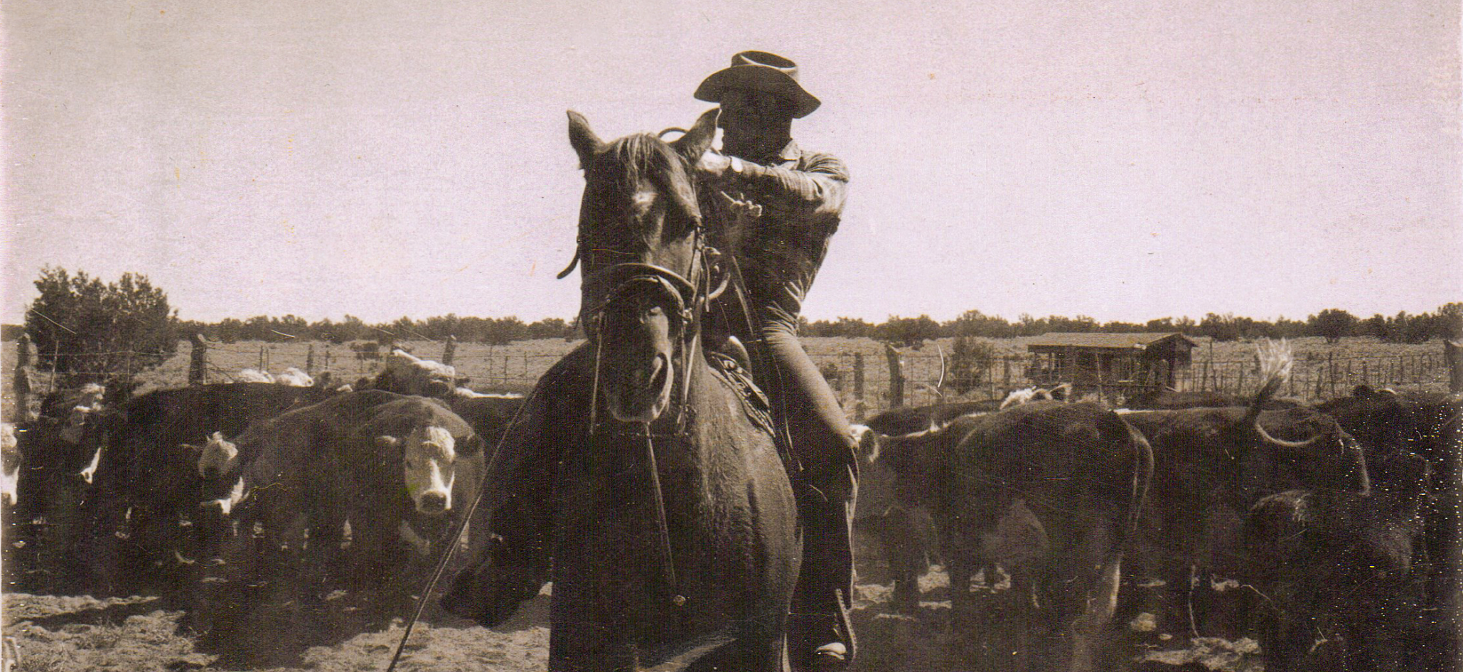 Merwin riding Merwin riding