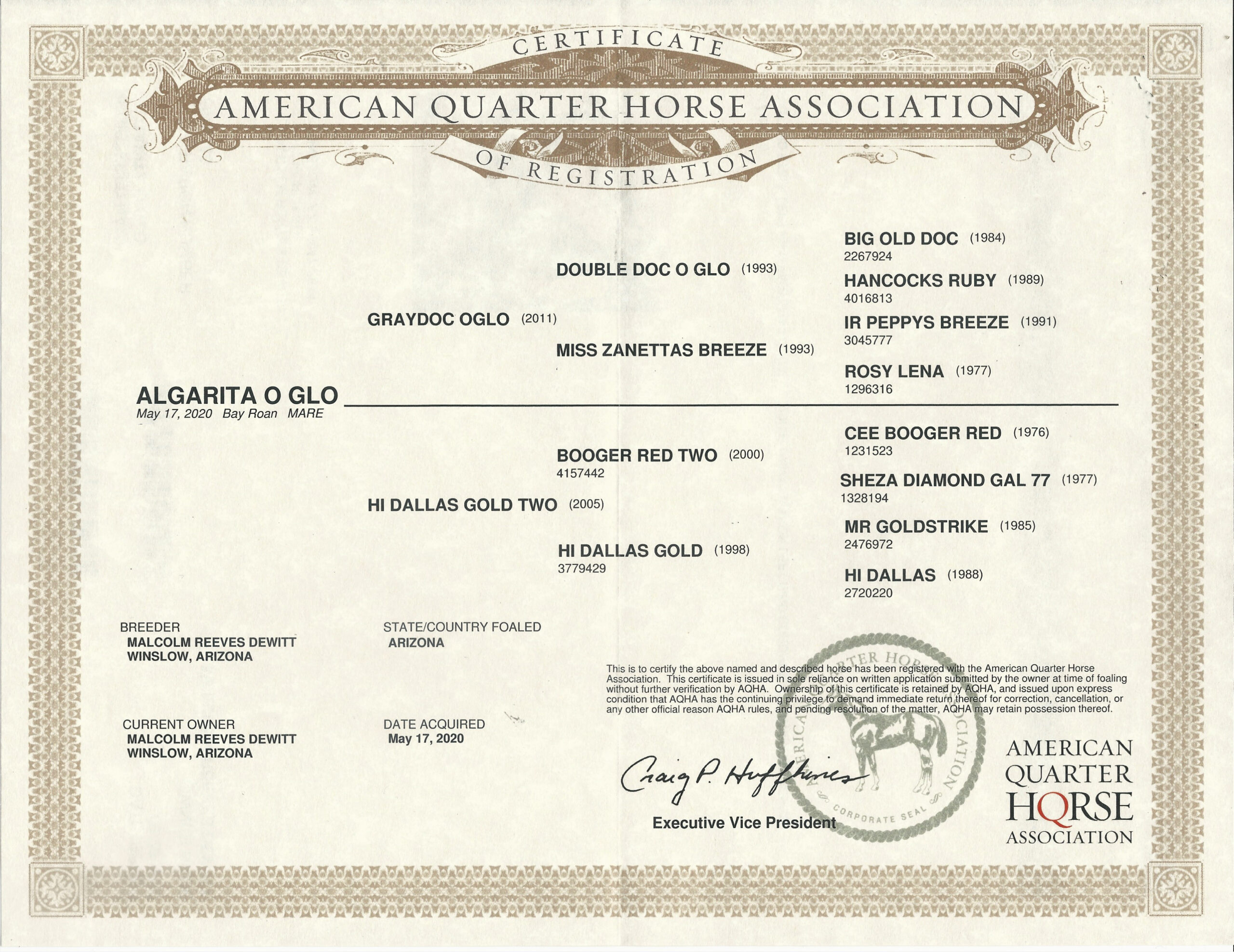Algerita – Algarita o glo
