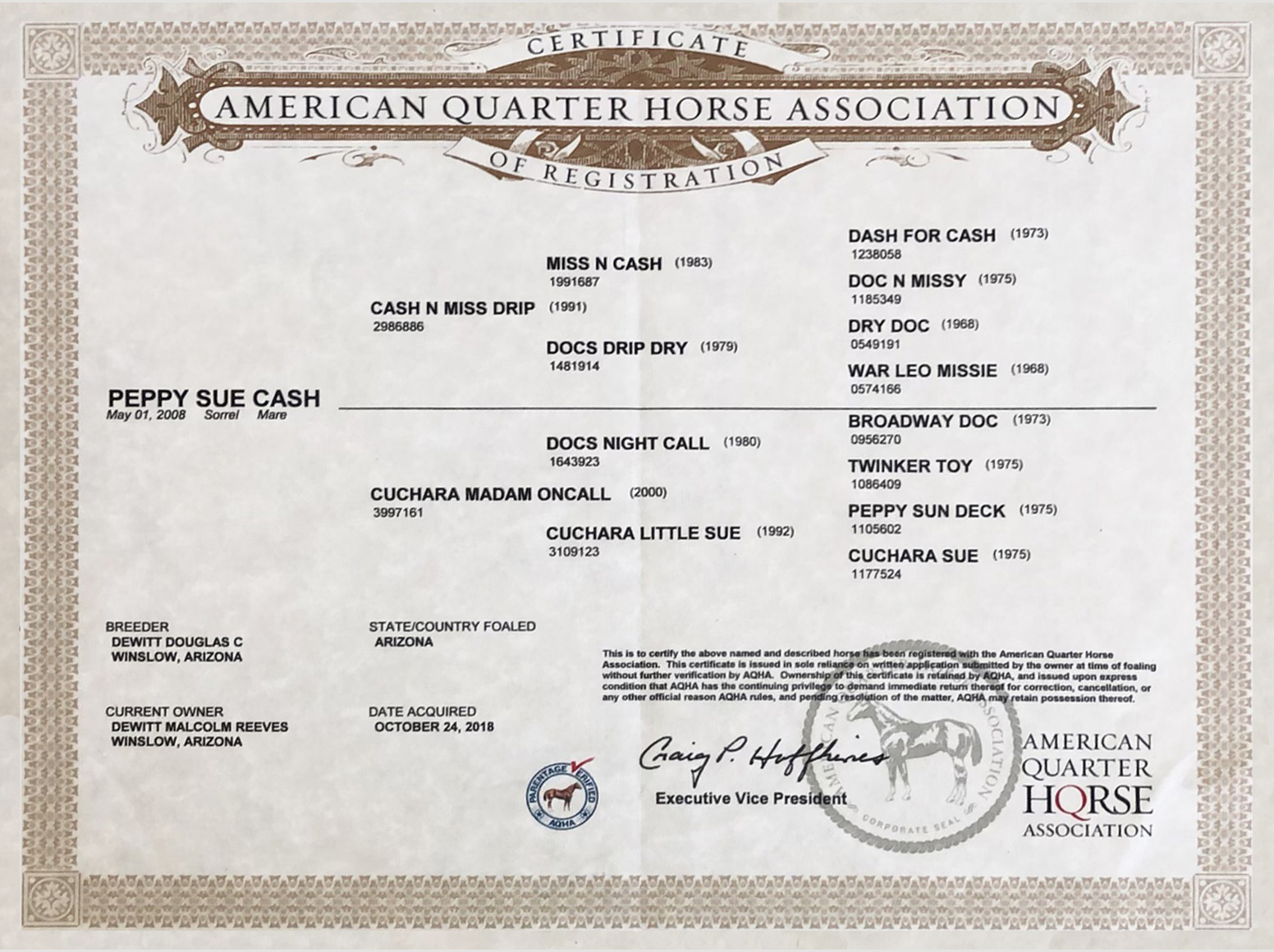 Ginger – Peppy Sue Cash