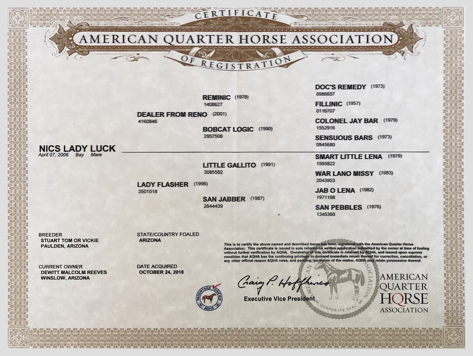Lady – Nics lady luck