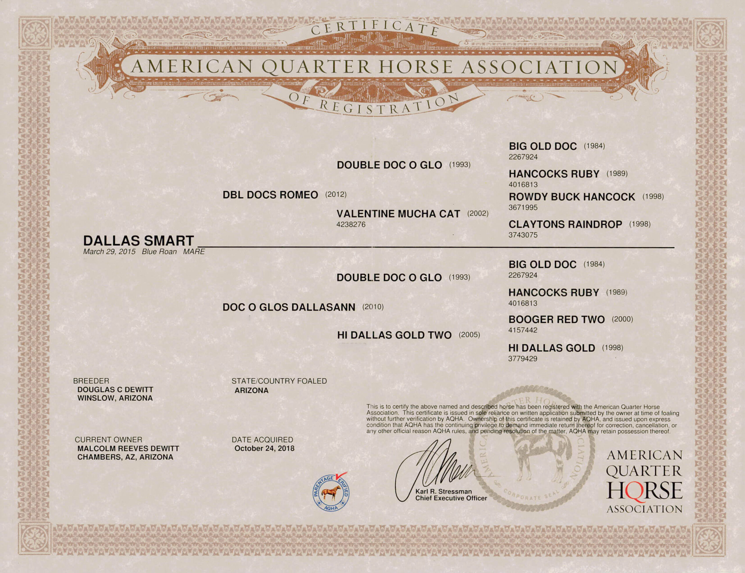 Alice- Dallas Smart